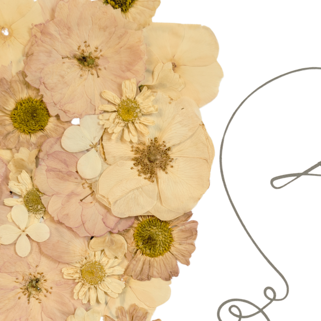 Botanisk line art-poster – Naturtonade blomster