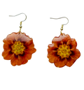 Orange Primula