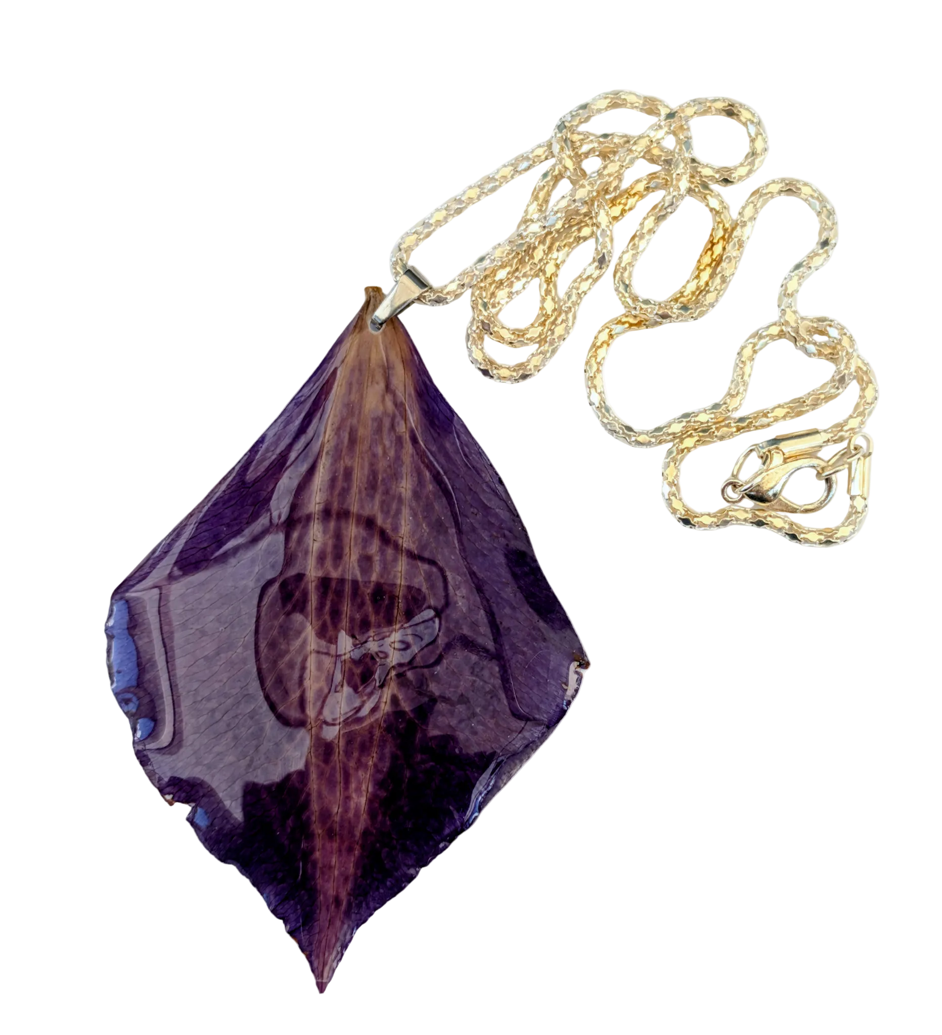 Halsband mörklila Klematis