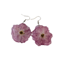 Örhänge körsbärsblomma