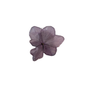 Brosch Hortensia