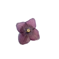 Brosch Hortensia