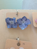 Studs blå Hortensia