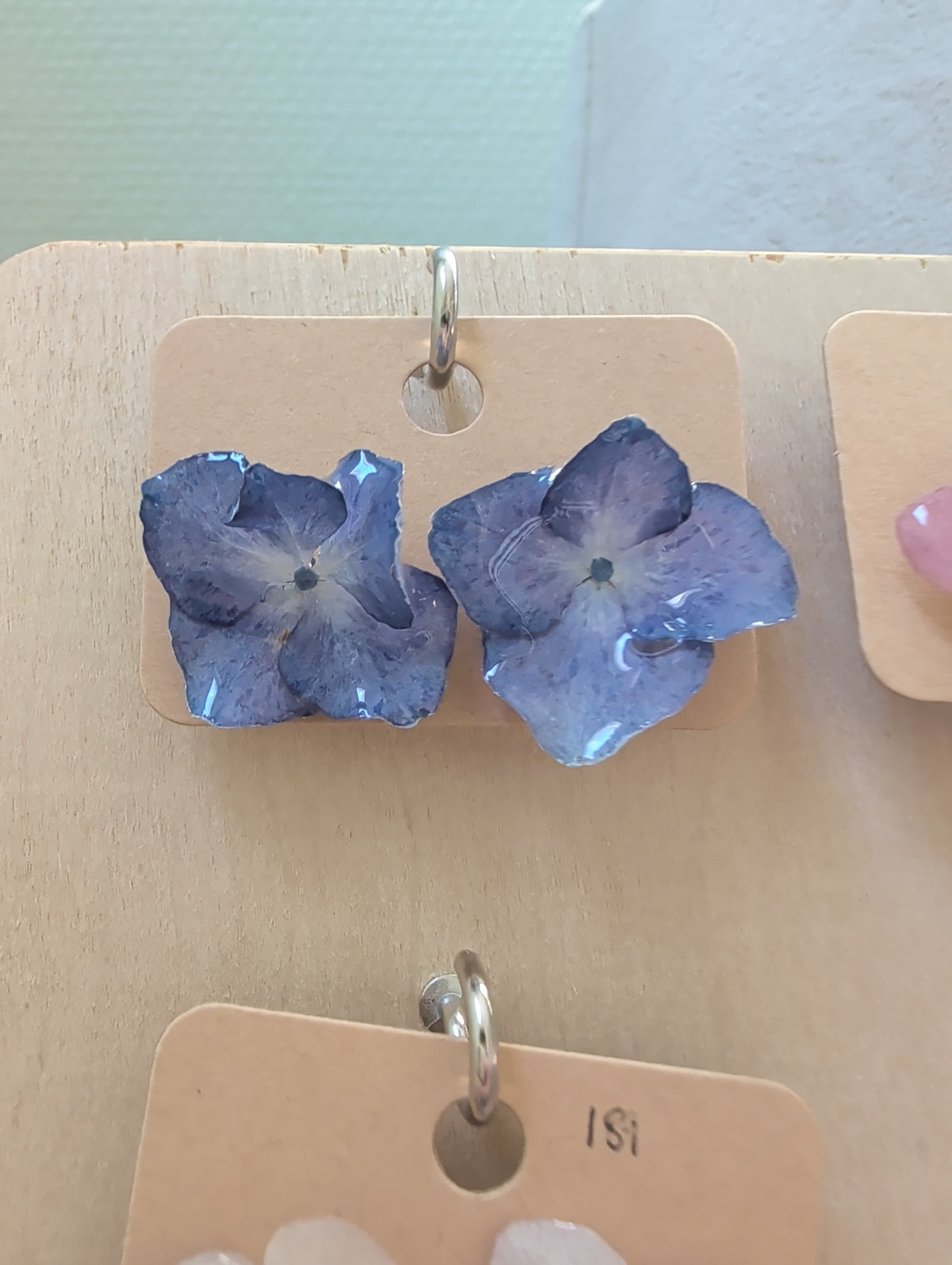 Studs blå Hortensia