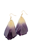 Mörklila tulpan