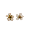 Studs Smultronblomma