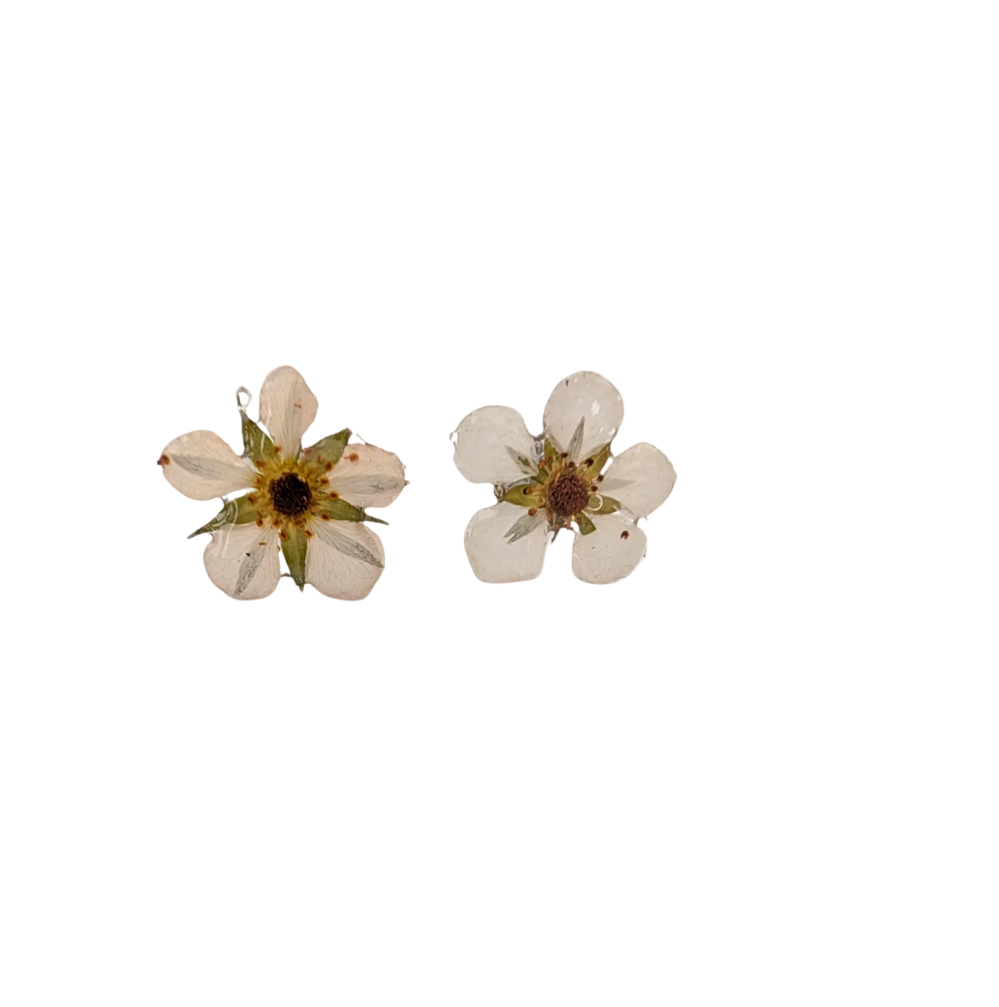Studs Smultronblomma
