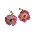 Örhänge rosa Ros