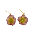 Rosa Primula