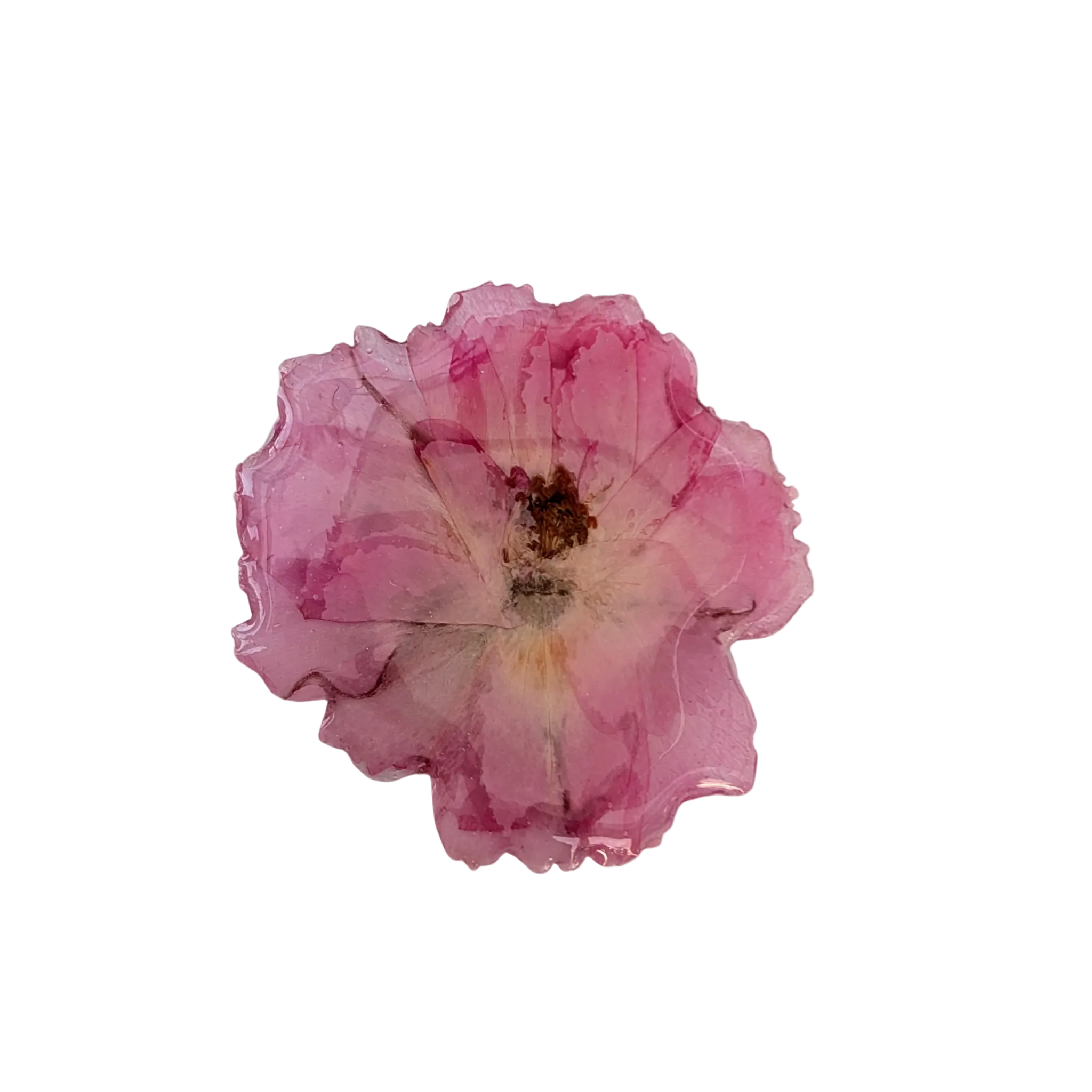 Brosch rosa ros