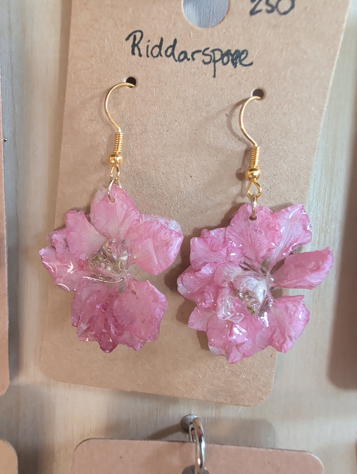 Hängande rosa Riddarsporre