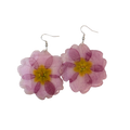 Örhänge stor rosa Primula