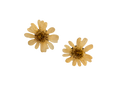 Örhänge vit blomma