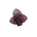 Brosch Hortensia